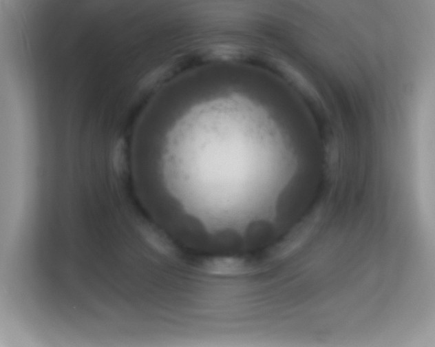 X0000113920361200909241535