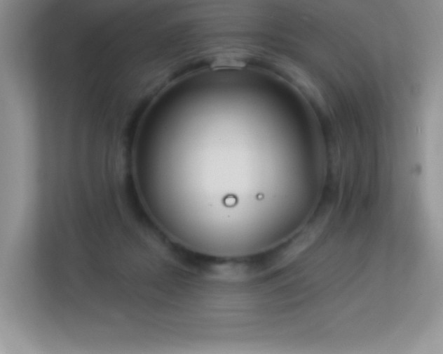 X0000113920362200909241535