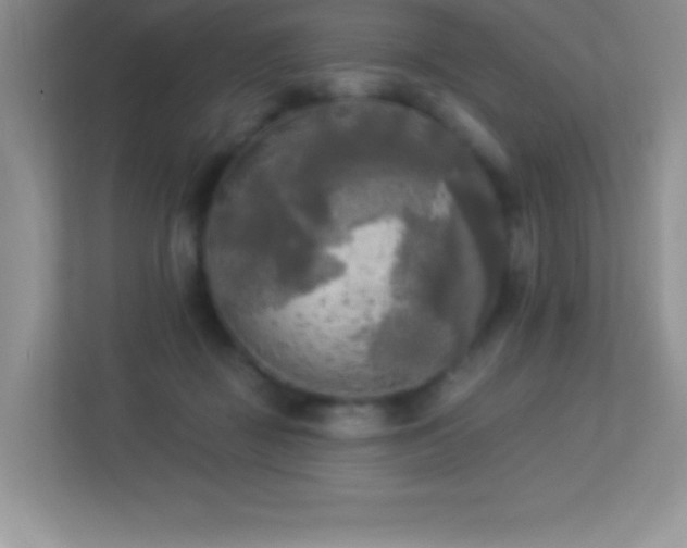 X0000113920363200909241535