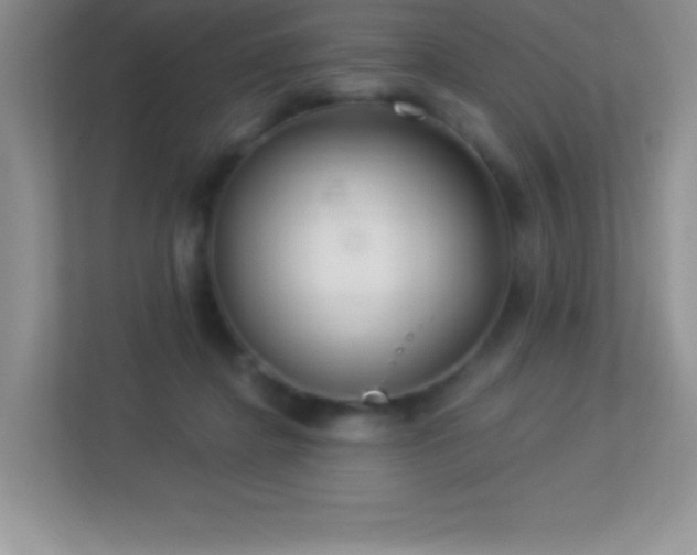 X0000113920364200909241535