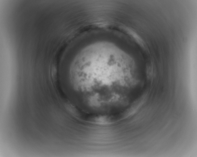 X0000113920365200909241535