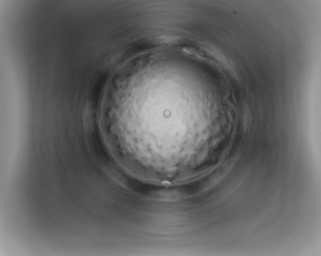 X0000113920366200909241535