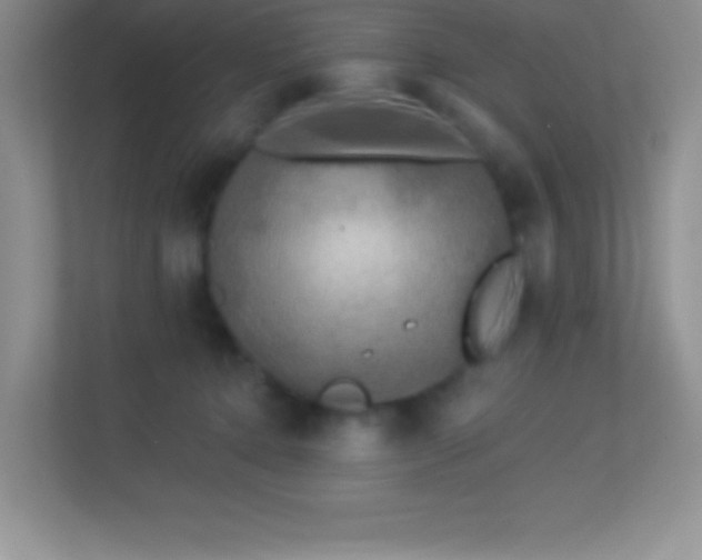 X0000113920368200909241535