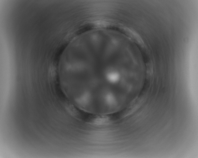 X0000113920369200909241535