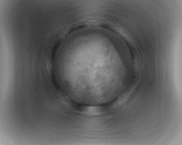 X0000113920371200909241535