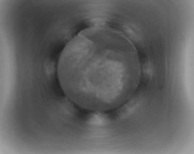 X0000113920372200909241535