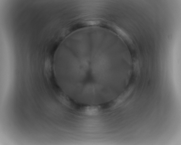 X0000113920373200909241535