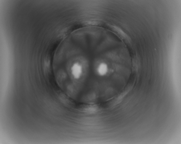 X0000113920377200909241535