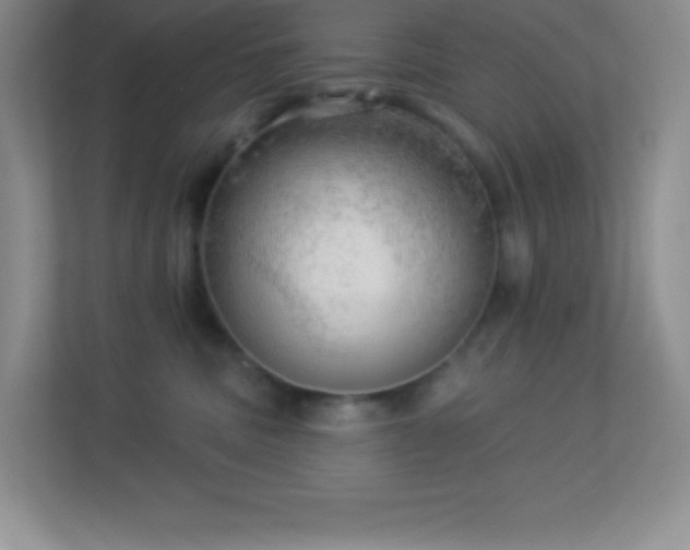 X0000113920379200909241535