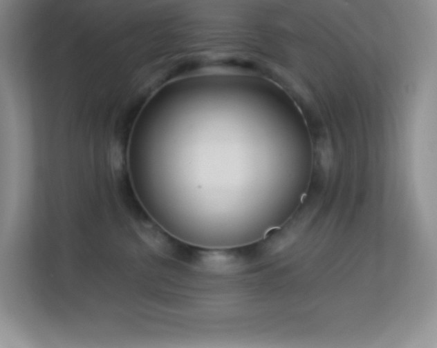 X0000113920380200909241535