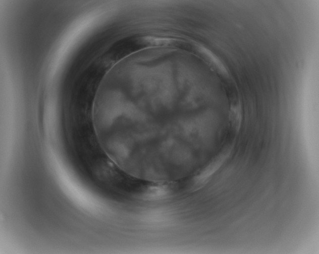 X0000113920381200909241535