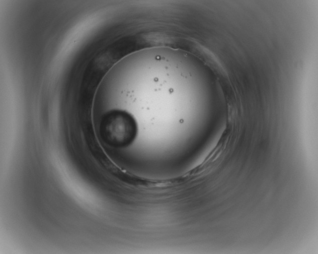 X0000113920382200909241535