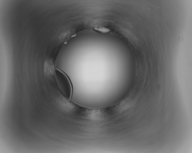 X0000113920384200909241535