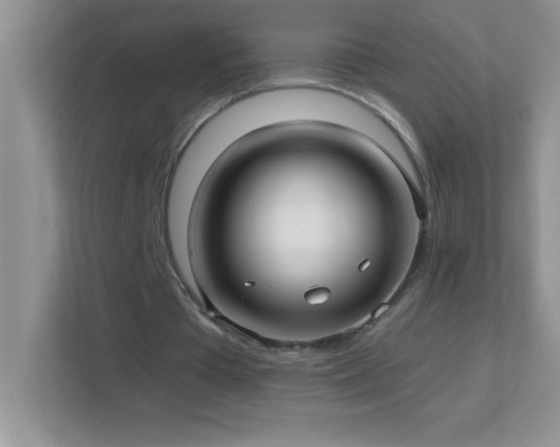 X0000113920385200909241534