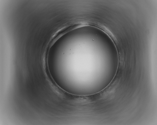 X0000113920386200909241534