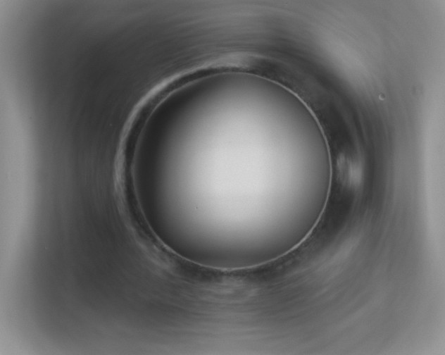 X0000113920388200909241534