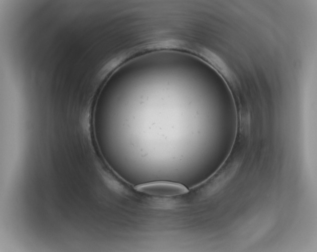 X0000113920389200909241534