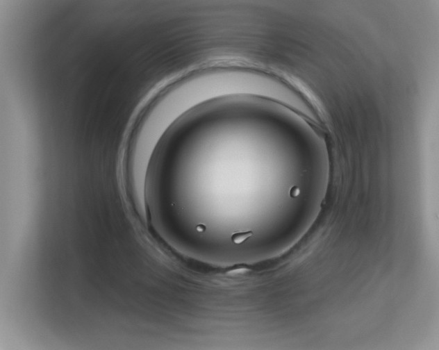 X0000113920391200909241534