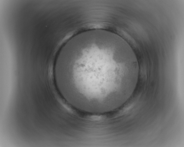 X0000113920394200909241534