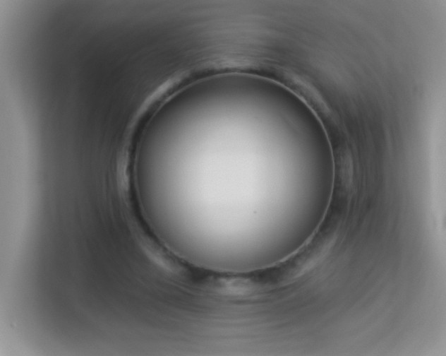 X0000113920395200909241534