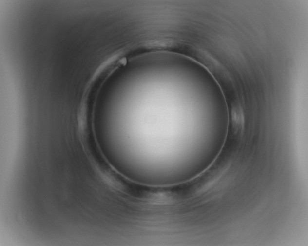 X0000113920396200909241534