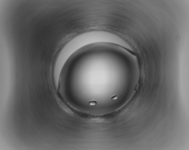 X0000113920397200909241534