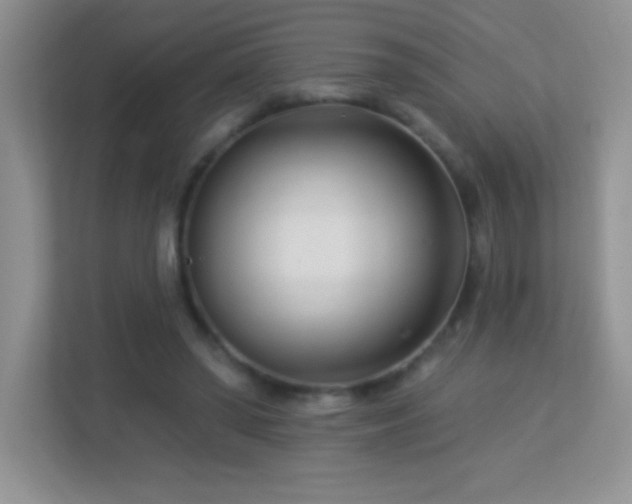 X0000113920398200909241534