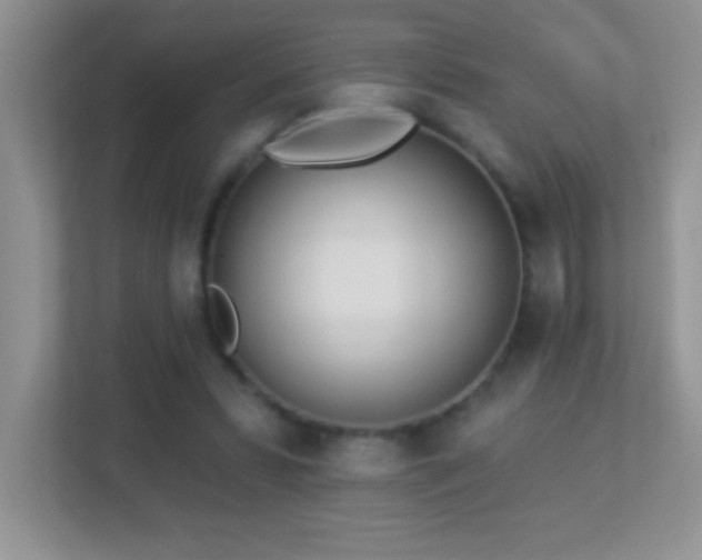 X0000113920399200909241534