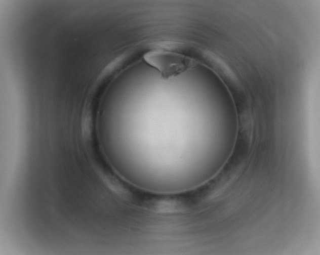 X0000113920400200909241534