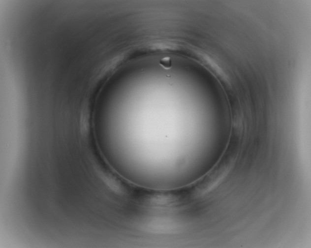 X0000113920402200909241534