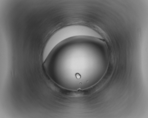 X0000113920405200909241534