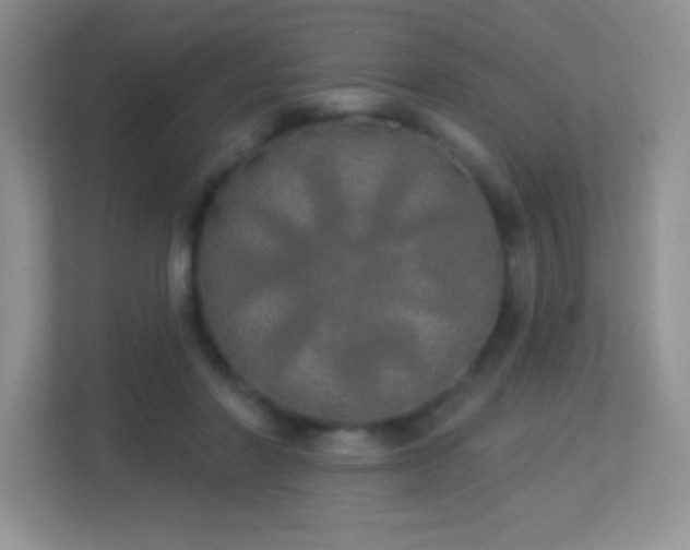 X0000113920406200909241534