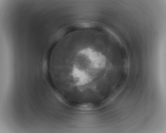 X0000113920410200909241534