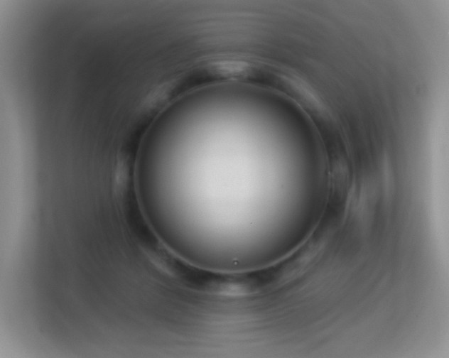 X0000113920412200909241534