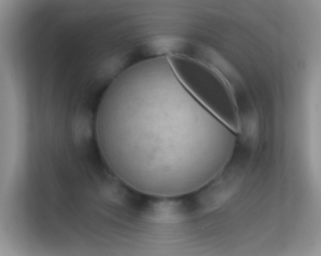 X0000113920413200909241534