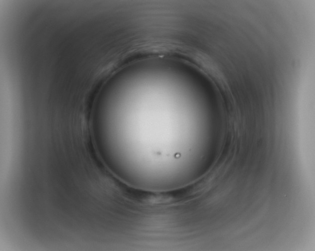 X0000113920415200909241534