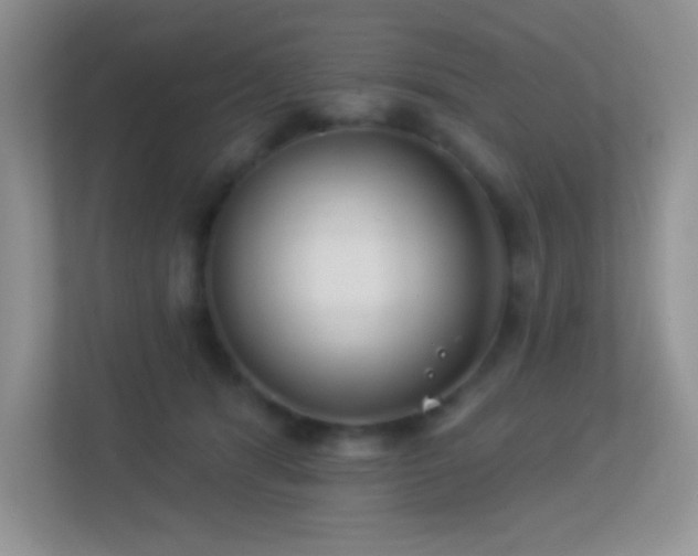 X0000113920416200909241534