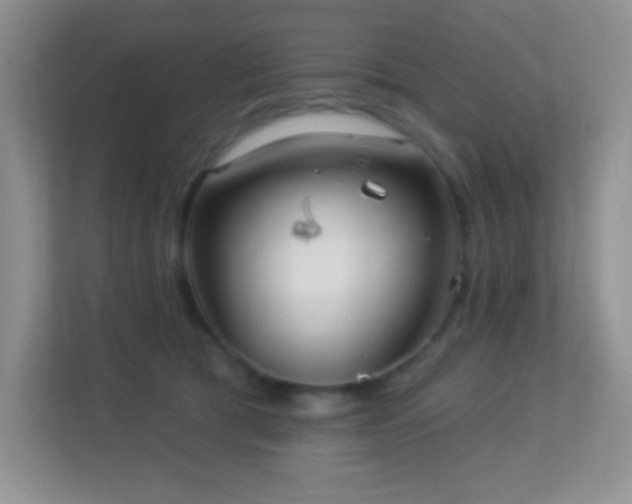 X0000113920417200909241534