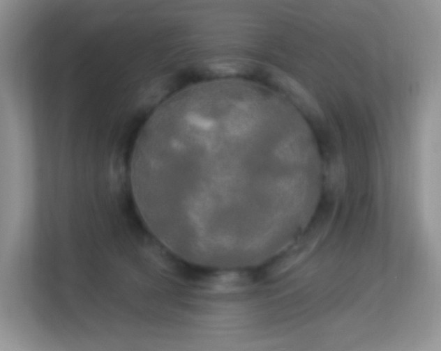 X0000113920418200909241534