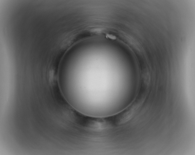 X0000113920420200909241534