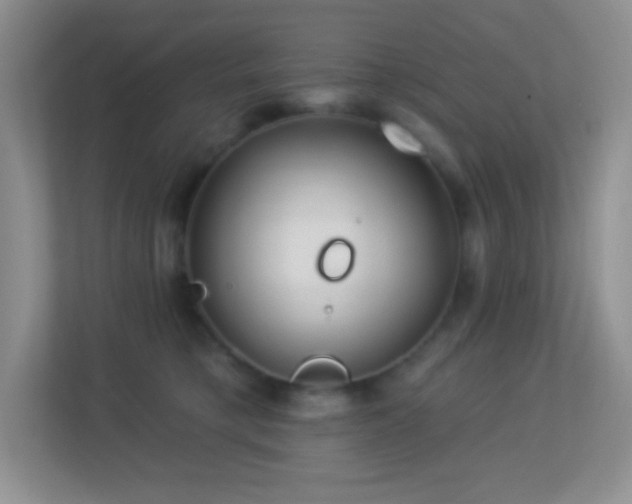 X0000113920421200909241534