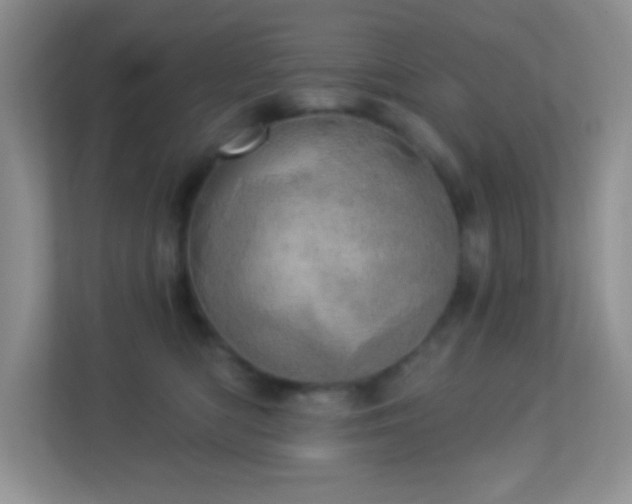 X0000113920422200909241534