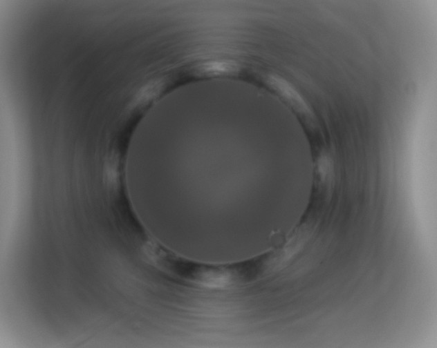 X0000113920423200909241534