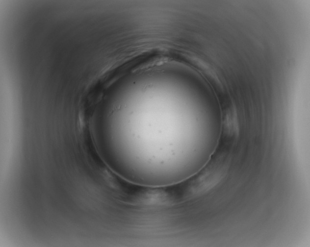 X0000113920424200909241534