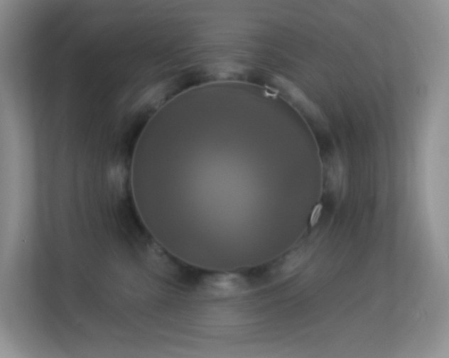 X0000113920427200909241534