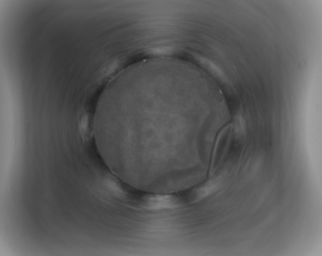 X0000113920428200909241534