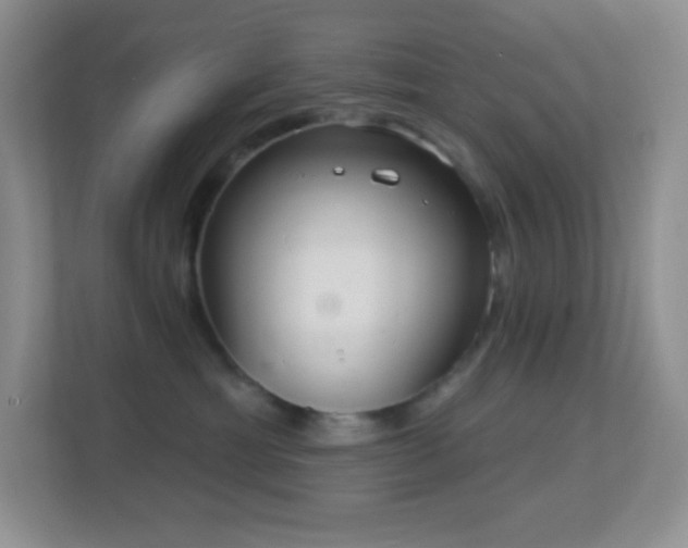 X0000113920429200909241534