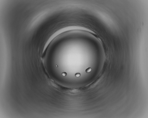 X0000113920431200909241534