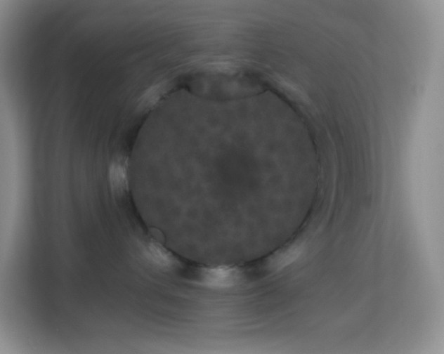 X0000113920432200909241534