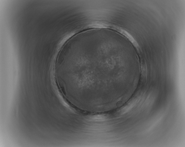 X0000113920433200909241533